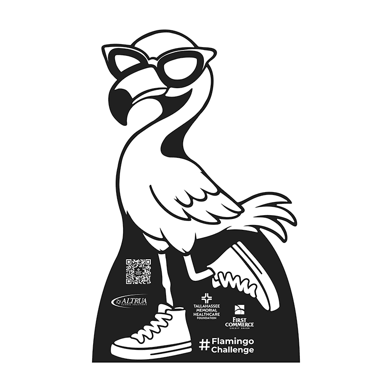 Enter the New Dress/Decorate a Flamingo Contest