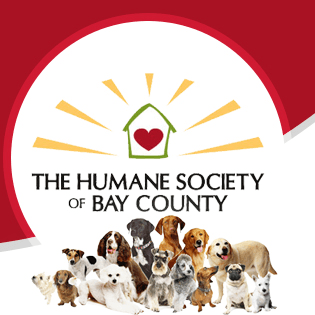 The Humane Society of Bay County
